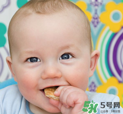 磨牙餅干吃不完怎么辦？磨牙餅干吃到多大？