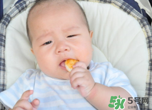 磨牙餅干吃不完怎么辦？磨牙餅干吃到多大？