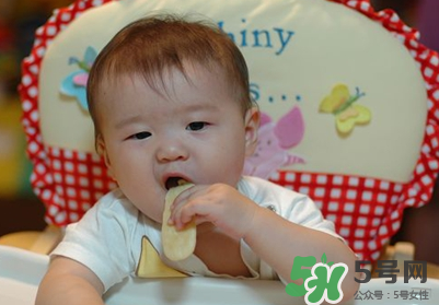 磨牙餅干吃不完怎么辦？磨牙餅干吃到多大？