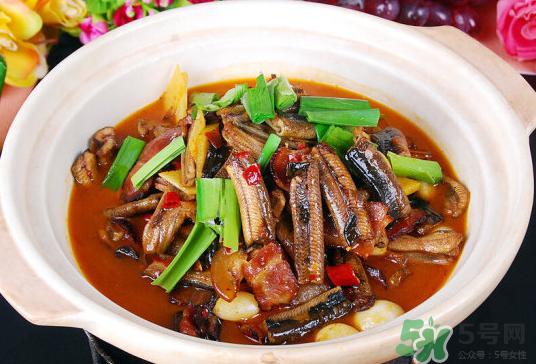 小暑為什么吃黃鱔？小暑吃黃鱔有什么好處？