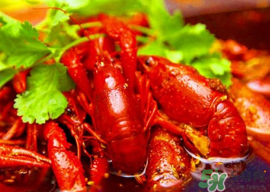 為什么人們都喜歡吃麻辣小龍蝦？小龍蝦為什么這么受歡迎？