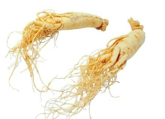 黑枸杞能和西洋參一起泡水喝嗎？黑枸杞和西洋參泡水喝的功效