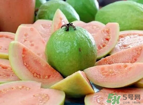 產婦可以吃番石榴嗎？坐月子可以吃番石榴嗎？