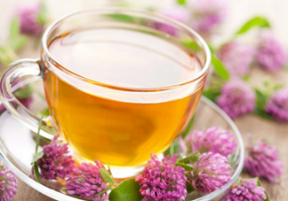 番石榴葉子能治糖尿病嗎？番石榴葉降血糖嗎？