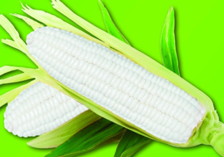 白玉米煮后變黃能吃嗎？白玉米為什么變黃了？