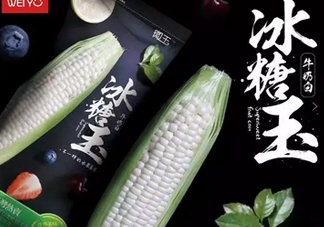 冰糖玉米?是轉(zhuǎn)基因嗎？冰糖玉米多少錢一斤？