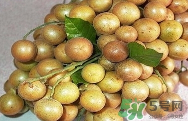 山黃皮怎么做好吃？山黃皮有什么藥用價值