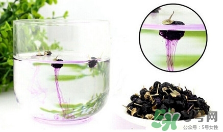 黑枸杞一天吃幾顆合適？黑枸杞一天喝多少合適