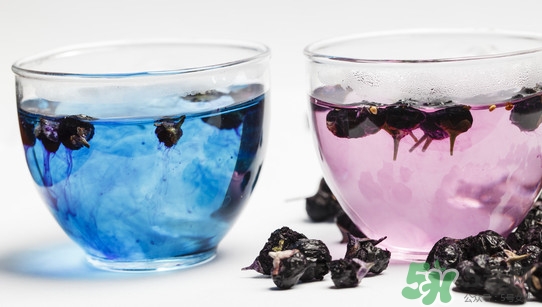黑枸杞可以和菊花一起喝嗎？菊花和黑枸杞一起喝好嗎