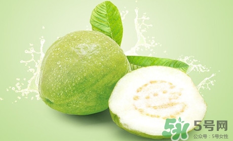 產婦可以吃番石榴嗎？坐月子可以吃番石榴嗎？