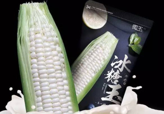 微玉冰糖玉米可以生吃嗎？微玉冰糖玉米安全嗎？