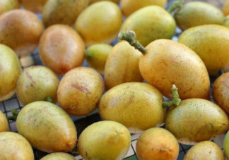 如何腌制黃皮干？如何曬黃皮干