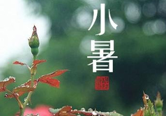 小暑種什么菜？小暑為什么要種牽?；?？