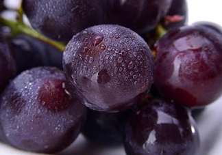 巨峰葡萄是哪里的？巨峰葡萄產地