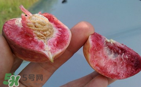 中華血桃什么時候成熟？中華血桃產(chǎn)地在哪兒