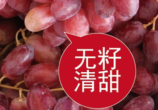 ?無籽紅提?孕婦能吃嗎吃嗎？孕婦能不能吃無籽紅提？