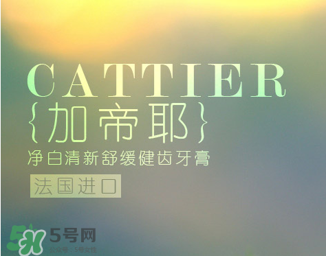 cattier加帝耶是什么牌子？法國cattier什么檔次？