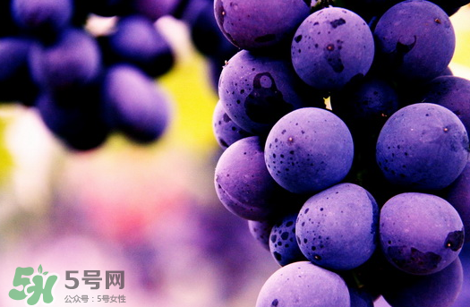 夏黑葡萄多少錢一斤？夏黑葡萄怎么挑選？