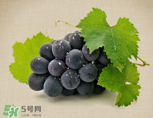 夏黑葡萄多少錢一斤？夏黑葡萄怎么挑選？