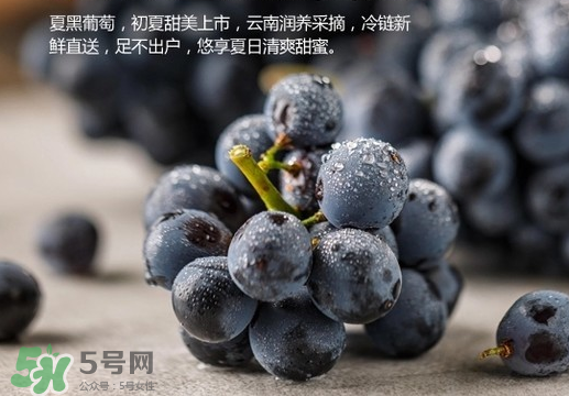 夏黑葡萄皮能吃嗎？夏黑葡萄怎么吃？