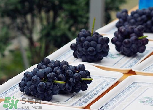 夏黑葡萄皮能吃嗎？夏黑葡萄怎么吃？