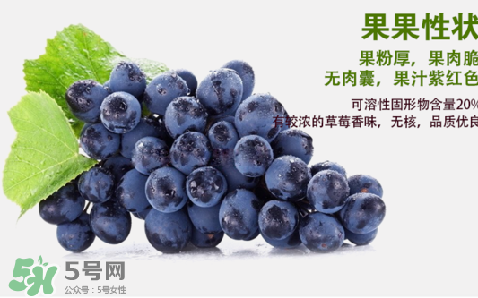 夏黑葡萄怎么洗？夏黑葡萄怎么洗才干凈？