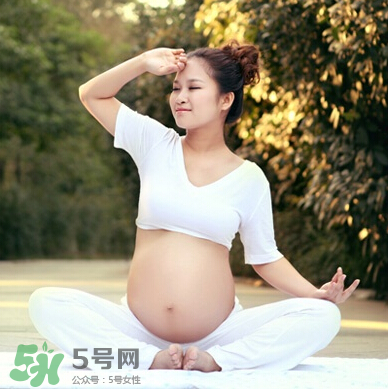 孕婦可以吃竹葉菜嗎？竹葉菜孕婦可以吃嗎？