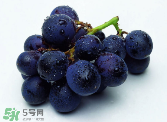 巨峰葡萄和葡萄有什么區(qū)別？巨峰葡萄是轉(zhuǎn)基因的嗎？