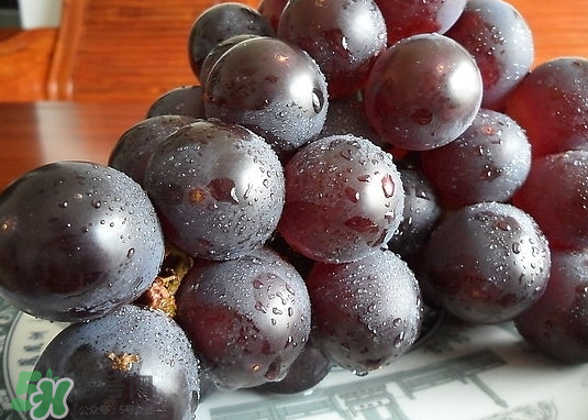 巨峰葡萄和葡萄有什么區(qū)別？巨峰葡萄是轉(zhuǎn)基因的嗎？