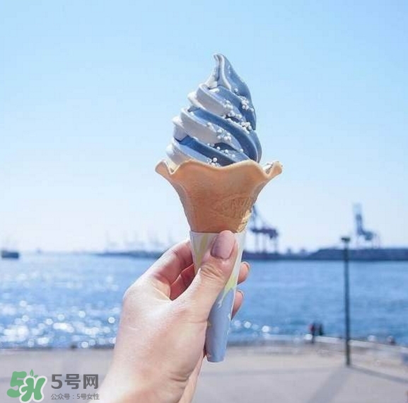 鯨鯊冰淇淋好吃嗎？鯨鯊冰淇淋多少錢？