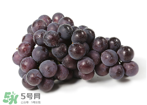 巨峰和夏黑哪個(gè)好吃？哪個(gè)貴？有什么區(qū)別？