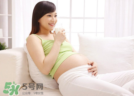 篙苞孕婦能吃嗎？孕婦能不能吃篙苞？