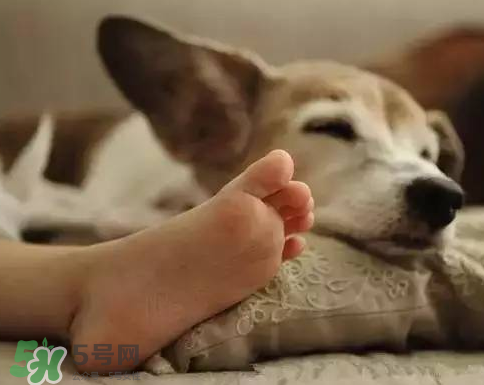 七月份可以開(kāi)窗睡覺(jué)嗎？夏天可以開(kāi)窗睡覺(jué)嗎？