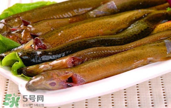 鰻魚是泥鰍嗎？鰻魚與泥鰍什么區(qū)別