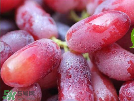 ?無籽紅提?孕婦能吃嗎吃嗎？孕婦能不能吃無籽紅提？