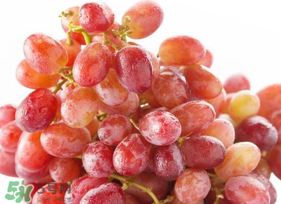 ?無籽紅提?孕婦能吃嗎吃嗎？孕婦能不能吃無籽紅提？