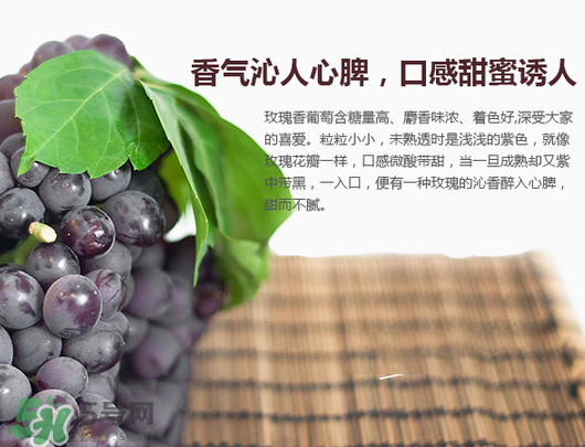 玫瑰香葡萄孕婦能吃嗎？孕婦可以吃玫瑰香葡萄嗎？