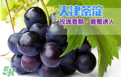 玫瑰香葡萄多少錢一斤？玫瑰香葡萄多少錢一斤2017？