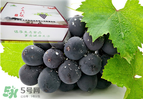 戶太八號(hào)葡萄什么時(shí)候套袋？戶太八號(hào)葡萄什么月份套袋？