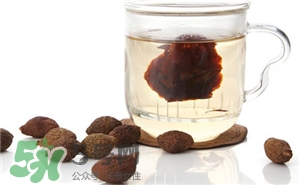 胖大海泡水喝的禁忌 胖大海的服用 胖大海泡水喝的禁忌 胖大海的服用