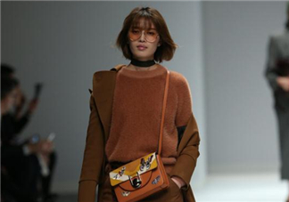 dissona迪桑娜2017秋冬新款包包怎么樣_好看嗎_款式有哪些？