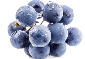 夏黑葡萄幾月成熟？夏黑葡萄幾月份上市？