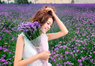 七月份還有薰衣草嗎？7月份還有薰衣草嗎？