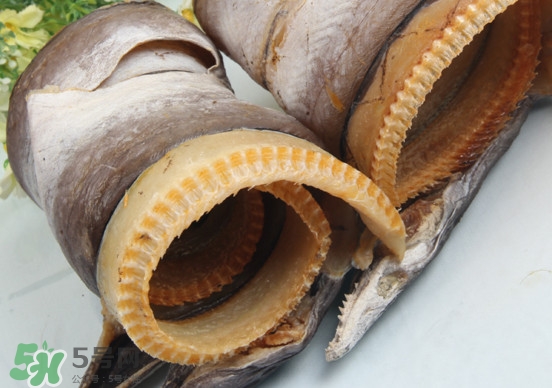 鰻魚干怎么保存最好？鰻魚干如何保存時(shí)間久