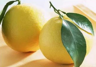 七月份有柚子嗎？柚子七月份超市有賣的嗎？