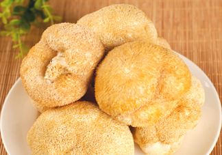 猴頭菇怎樣吃治胃??？猴頭菇能治胃病嗎？