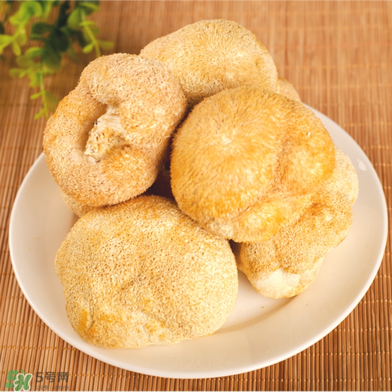 猴頭菇怎樣吃治胃病？猴頭菇能治胃病嗎？