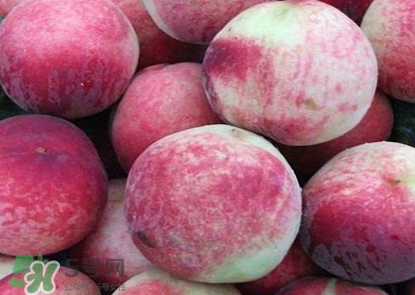 血桃和紫血桃哪個好？血桃和紫血桃的區(qū)別