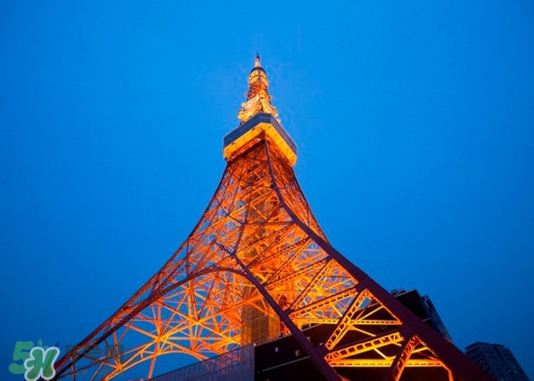 8月份去日本穿什么？八月份去日本穿什么衣服