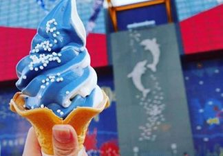 鯨鯊冰淇淋好吃嗎？鯨鯊冰淇淋多少錢？